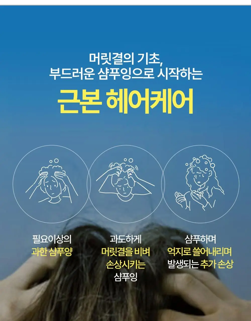 [단백질 2배]힐링버드 리바이브 단백질 샴푸 500ml 상세페이지 3